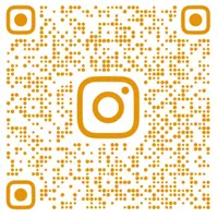 QR-код INS